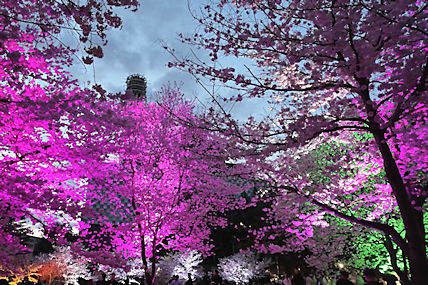 ��Ԑf�ÁA��9���܂Őf�Â��Ă���܂��B���@�ł͕ی��f�ÈȊO�ɂ��z���C�g�j���O�A�z���C�g�R�[�g�A�G�X�e�j�A�A���^���{���h���̐R�����Ȃɂ��͂����Ă��܂��B�܂������̒����\�h�Ƃ��ăV�[�����g��t�b�f�h�z���s���Ă��܂��B